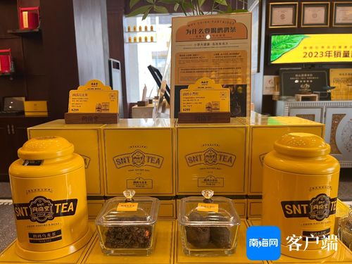 AI賦能旅游商品蝶變 從“新”出發，用金嗓音講述海南故事